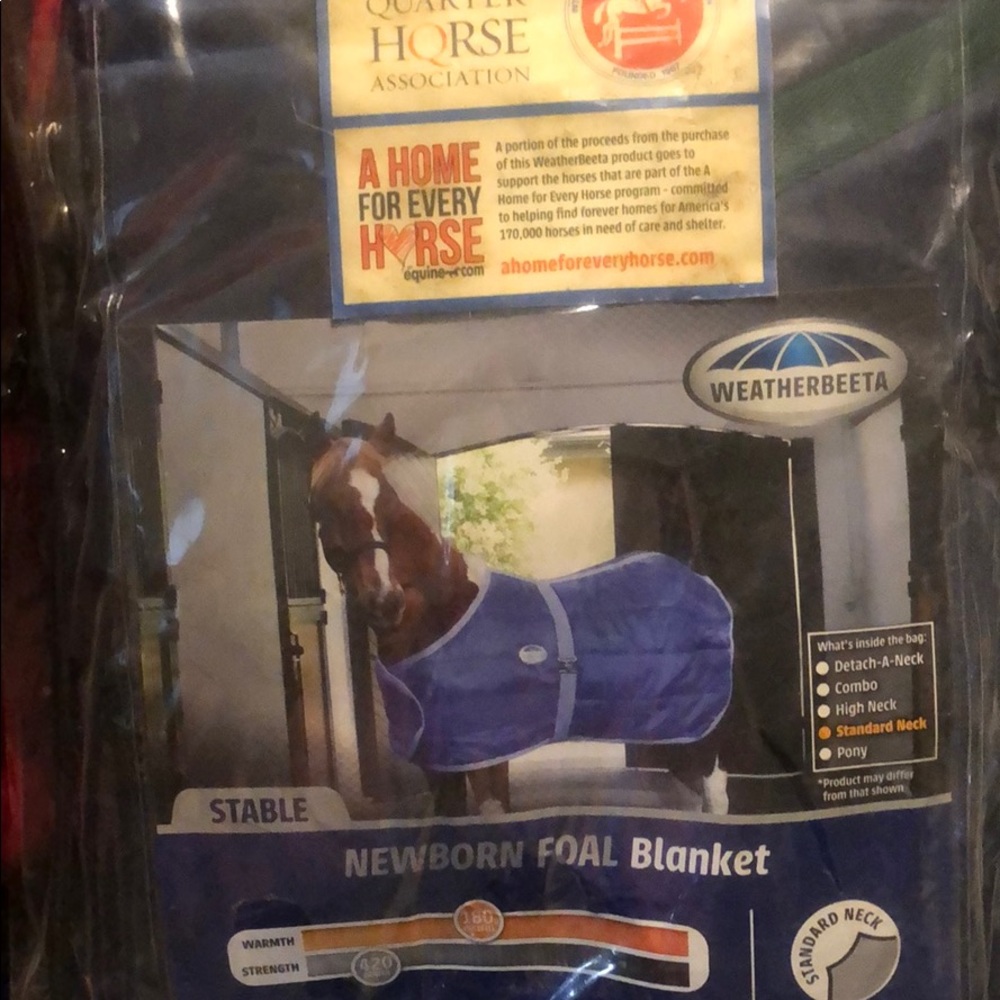 Newborn foal blanket never out of bag horse